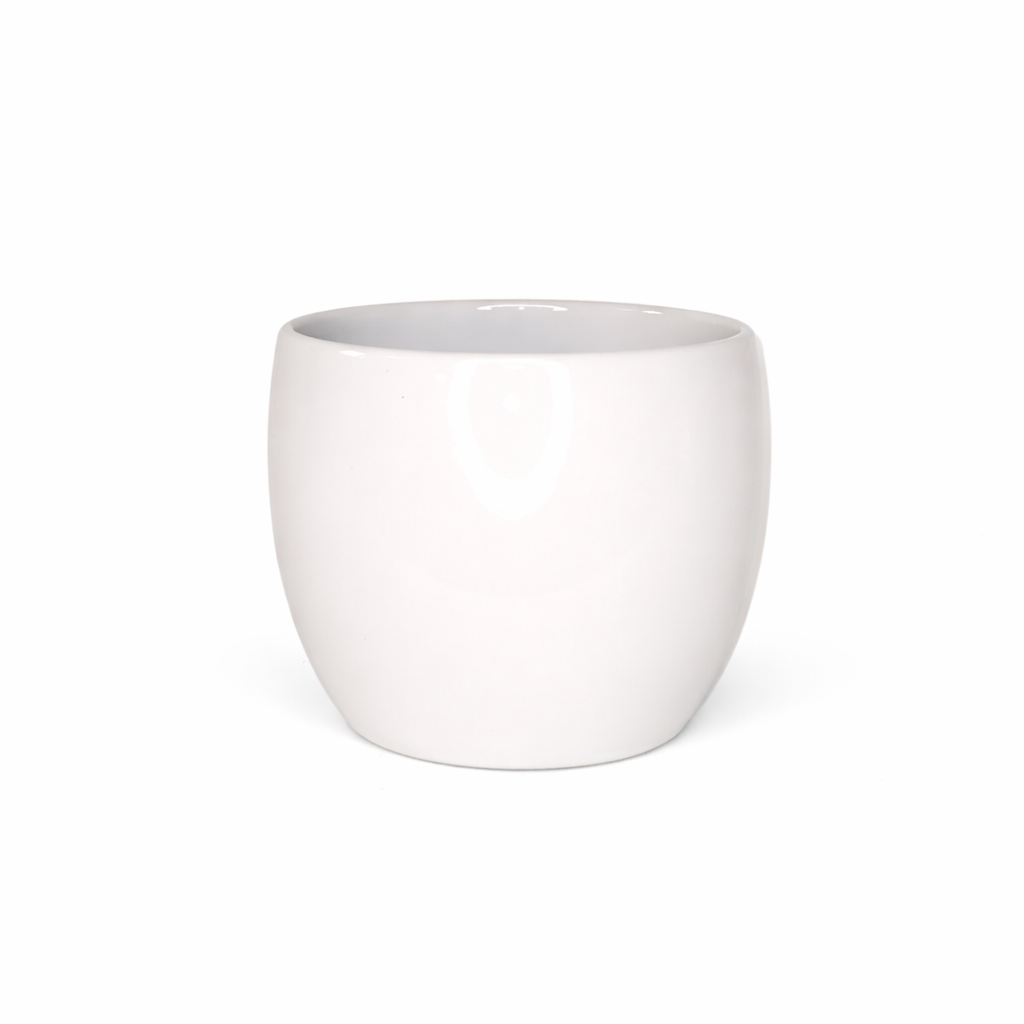 502F2E74-2718-484D-9600-A68FAE17A607 Balta vaza - 3337 - Image 1