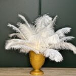 Plunksnų kompozicija Maža