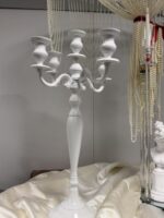 Balta žvakidė - Image 4