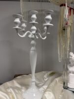 Balta žvakidė - Image 5