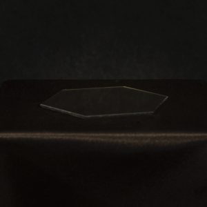 VP0A2031 copy